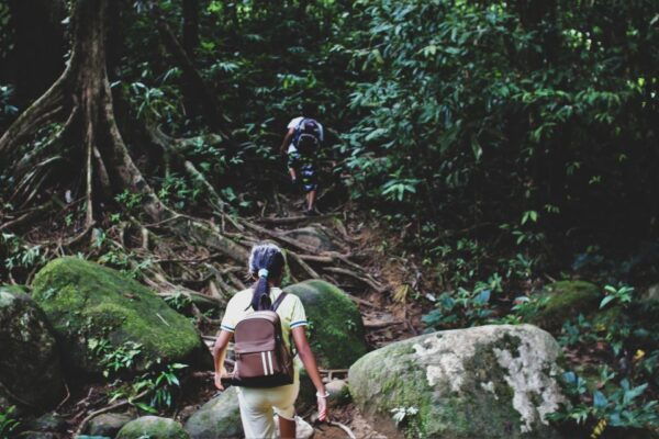 From Khao Lak: Khao Sok Jungle Hike & River Tour - Khao Sok View Point