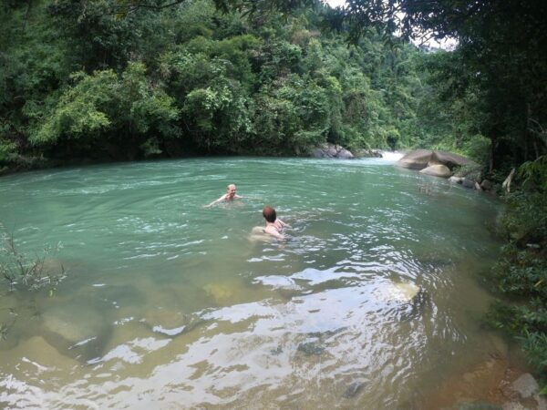 From Khao Lak: Khao Sok Jungle Hike & River Tour - Rainforest Hike and Wildlife Encounter
