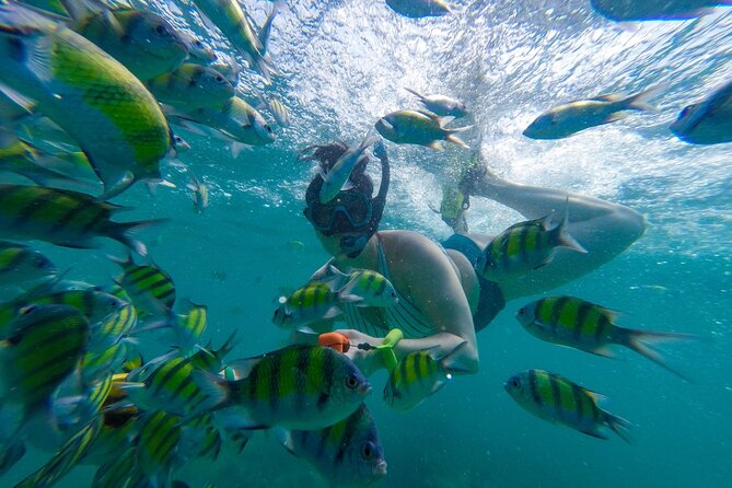 From Khao Lak or Khok Kloi : Phi Phi Islands Adventure Day Trip With Lunch - Cancellation Policy