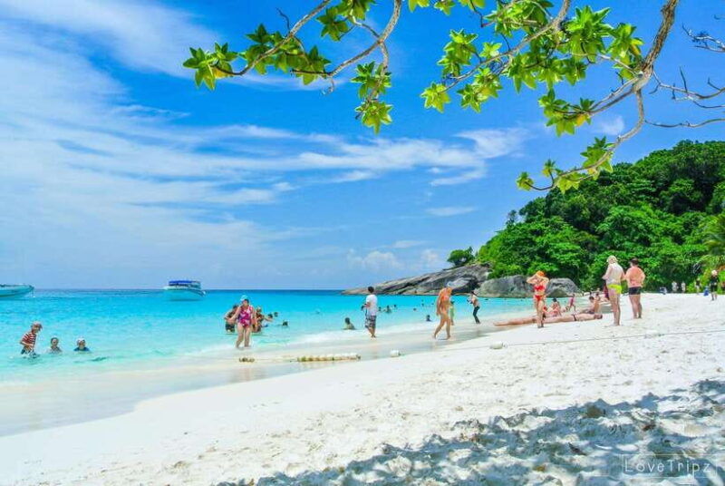 From Khao Lak & Phuket: Trip to Similan Islands by Speedboat - Itinerary Highlights