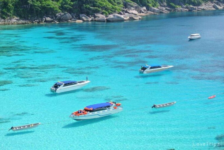From Khao Lak & Phuket: Trip to Similan Islands by Speedboat - Activities and Attractions