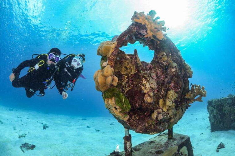 From Khao Lak: Similan Islands Diving Trip - Highlights of the Experience