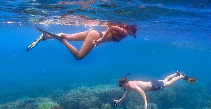 From Khao Lak: Surin Islands Speedboat Tour With Snorkel - Tour Activity Details