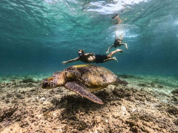 From Khao Lak: Surin Islands Ultimate Snorkeling Expedition - Health and Safety Considerations