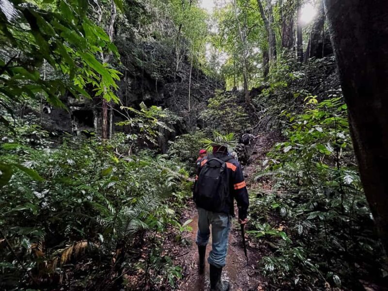 From Khao Sok: Half-Day Rainforest Trek with Local Guides - Good To Know