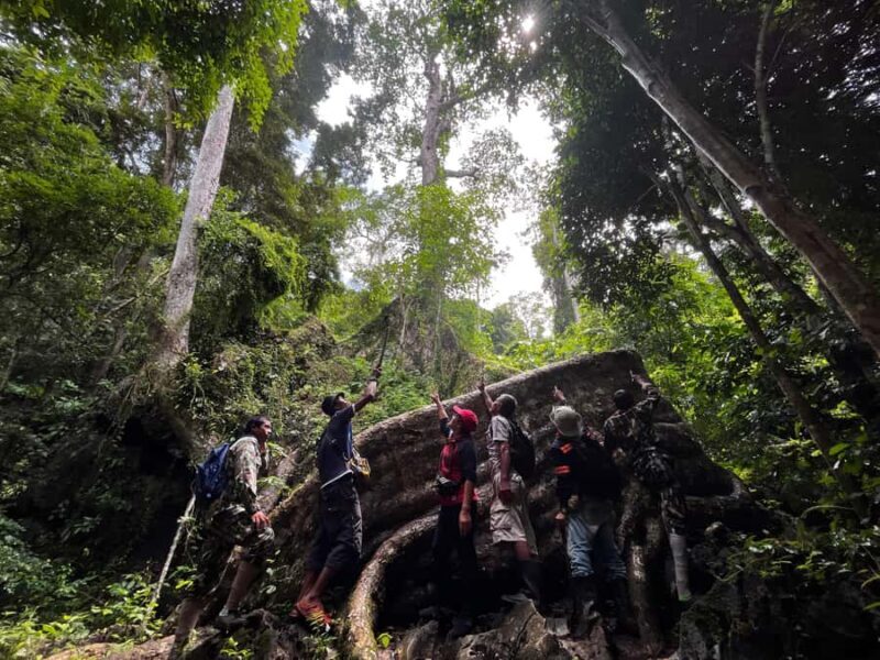 From Khao Sok: Half-Day Rainforest Trek with Local Guides - Authentic Experiences and Real-World Insights