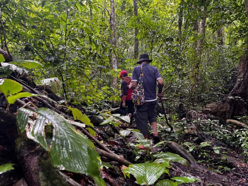 From Khao Sok: Half-Day Rainforest Trek with Local Guides - The Sum Up