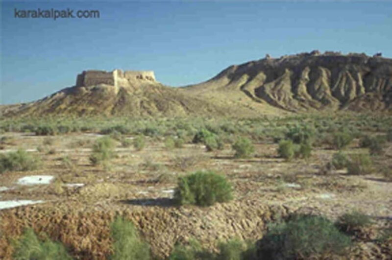 From Khiva: Khorezm Fortresses Adventure Tour - Good To Know  