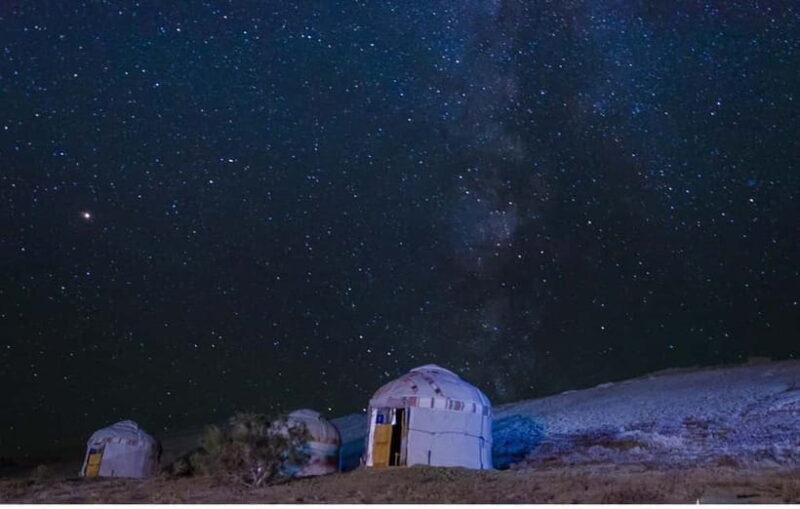 From Khiva To Aral Sea 2-Days One Night In Yurt Stay - Who Is This Tour Best For?