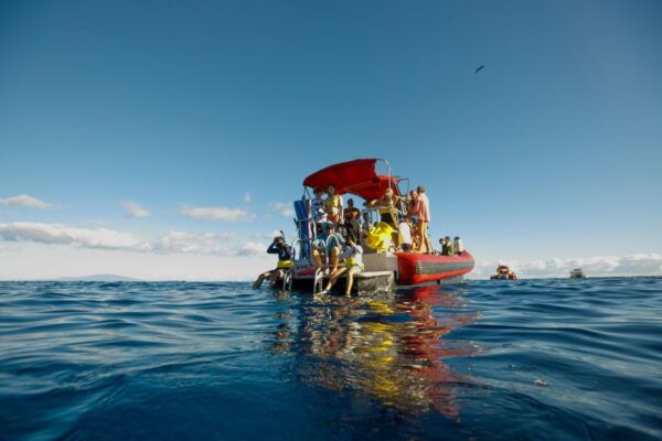 From Kihei: Boat Tour to Turtle Town With Snorkeling - Common Questions