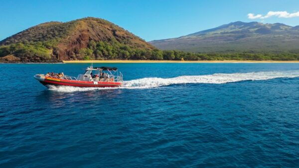 From Kihei: Boat Tour to Turtle Town With Snorkeling - The Sum Up