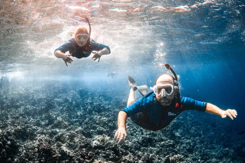 From Kihei: Molokini Snorkel 2-Hour Adventure - Final Thoughts