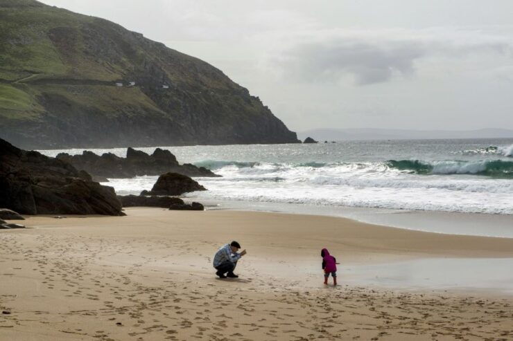 From Killarney: Day Trip to Dingle - Booking and Logistics