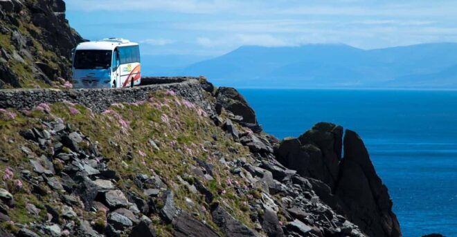 From Killarney: Dingle and Slea Head Peninsula Day Tour - Opportunities to Spot Wildlife and the Dingle Dolphin