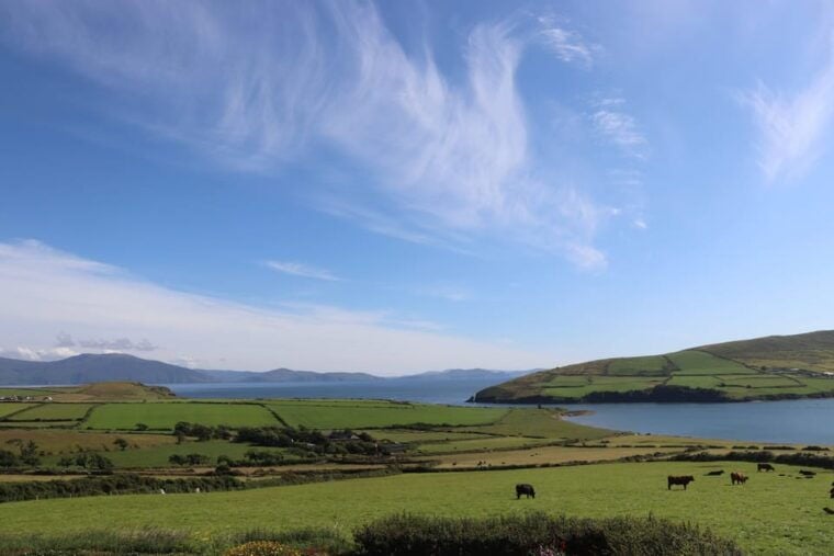 From Killarney: Dingle Peninsula, and Slea Head Day Tour - Who is This Tour Best For?