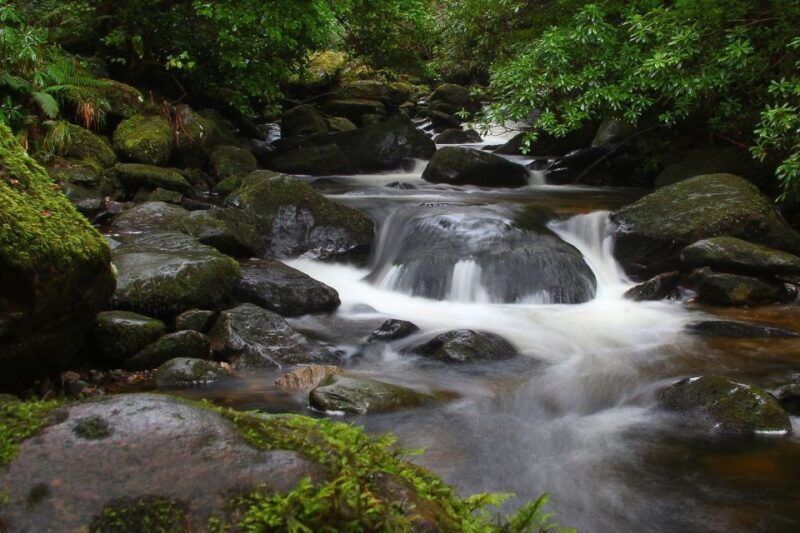 From Killarney: Ring of Kerry Full-Day Tour - The Value and Practicalities