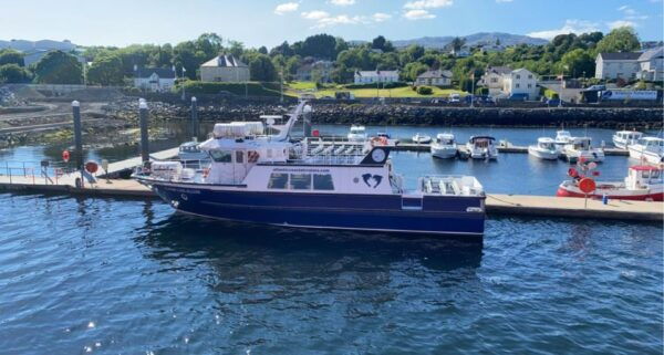 From Killybegs: Sliabh Liag Cliffs Coastal Boat Tour - Common Questions
