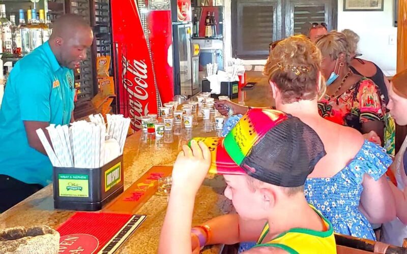 From Kingston: Bob Marley Mausoleum, Nine Mile Town Tour - From Kingston: Bob Marley Mausoleum, Nine Mile Town Tour