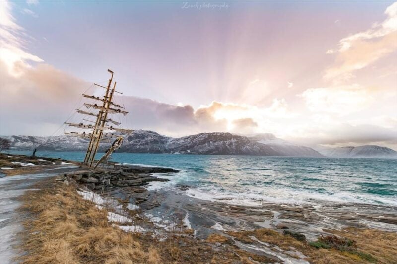 From Kiruna: Narvik City and Fjord Day Trip - Who This Tour is Perfect For