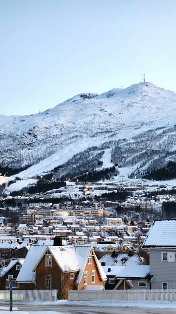 From Kiruna: Narvik City and Fjord Day Trip - FAQs