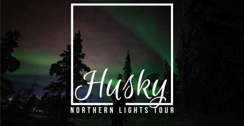 From Kiruna: Northern Lights Guided Husky Sledding Adventure - Good To Know