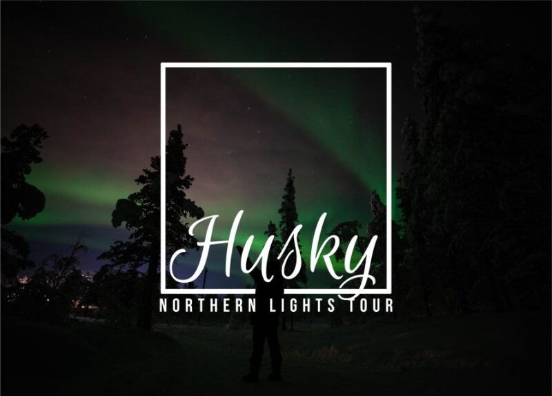 From Kiruna: Northern Lights Guided Husky Sledding Adventure - Detailed Itinerary Breakdown
