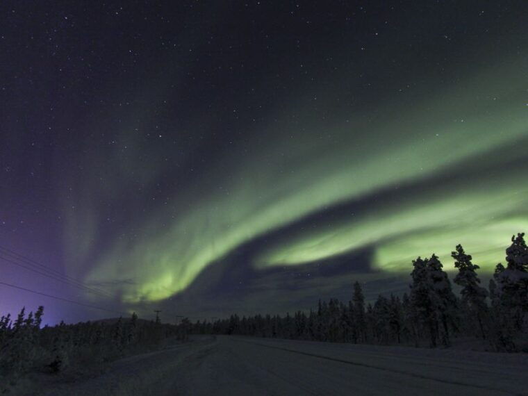 From Kiruna: Northern Lights Guided Husky Sledding Adventure - The Experience of the Guides and the Huskies