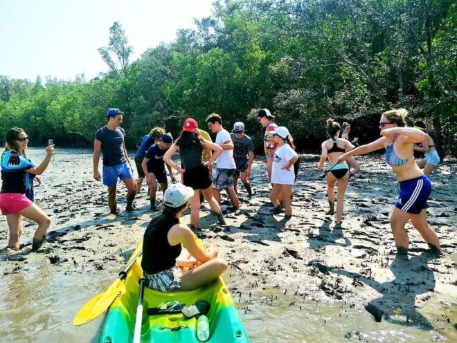 From Ko Lanta: Mangrove Eco-Excursion by Longtail Boat - Amenities and Inclusions
