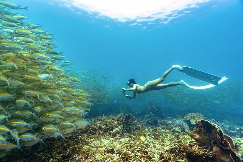 From Ko Tao: Vintage Boat-Nangyuan Snorkeling Day Trip with Meals - Five water stops, with a route that can change