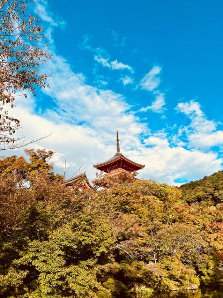 From Kobe: Kyoto Nara Private Day Tour Luxury Vehicle - Pricing and Discounts