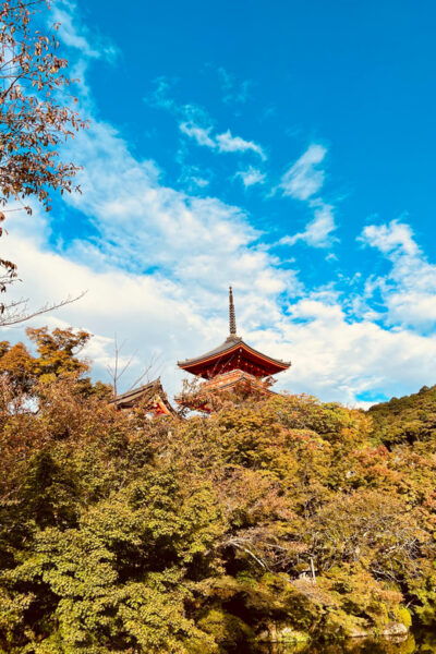 From Kobe: Kyoto Nara Private Day Tour Luxury Vehicle - Cancellation Policy