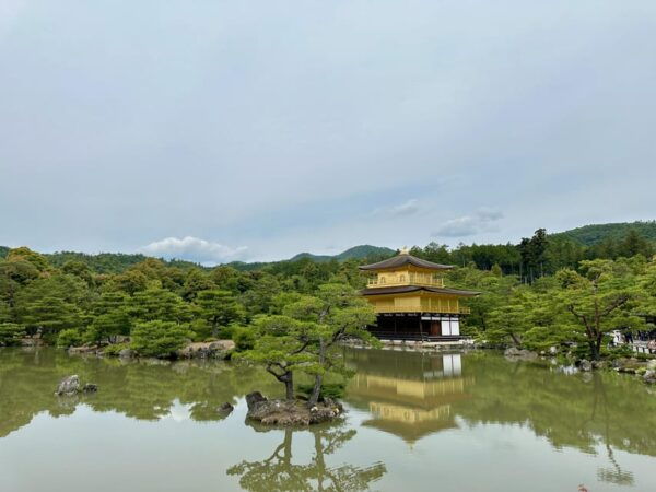 From Kobe: Kyoto Nara Private Day Tour Luxury Vehicle - Frequently Asked Questions