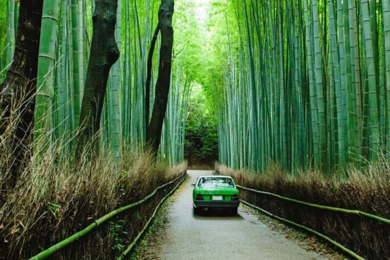 From Kobe/Osaka: Kyoto Full-Day Guided Tour with Vehicle - Pricing and Value  