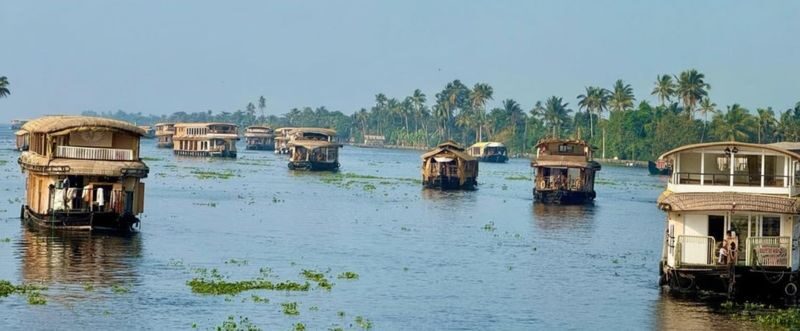 From Kochi: Alleppey Overnight Houseboat Cruise With Meals - From Kochi to Alleppey, with the driving taken care of