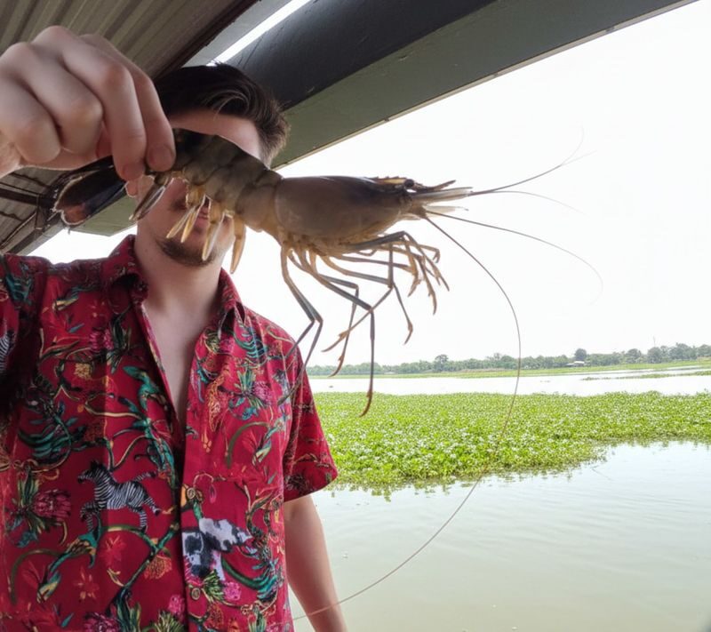 From Kochi: Alleppey Overnight Houseboat Cruise With Meals - Dinner, quiet water, and a night on board