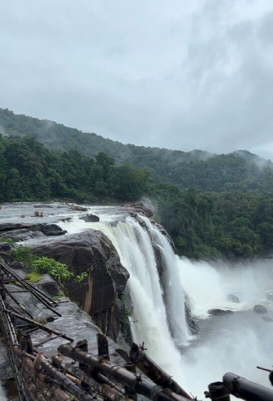 From Kochi: Athirappilly Day Tour With Transfers And Meals - Leaving Kochi for the Western Ghats