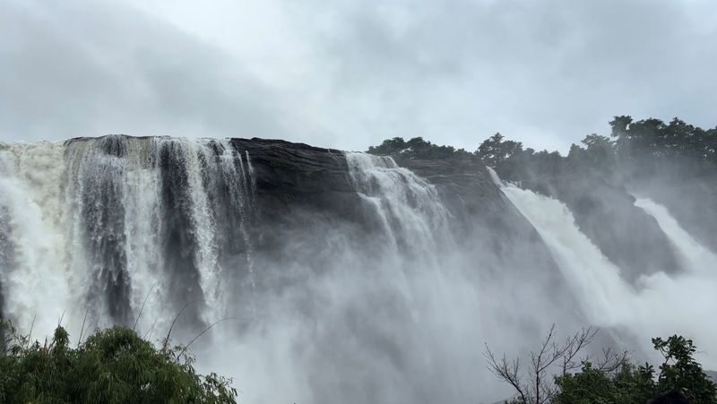From Kochi: Athirappilly Day Tour With Transfers And Meals - Athirappilly Falls and the forest viewpoints