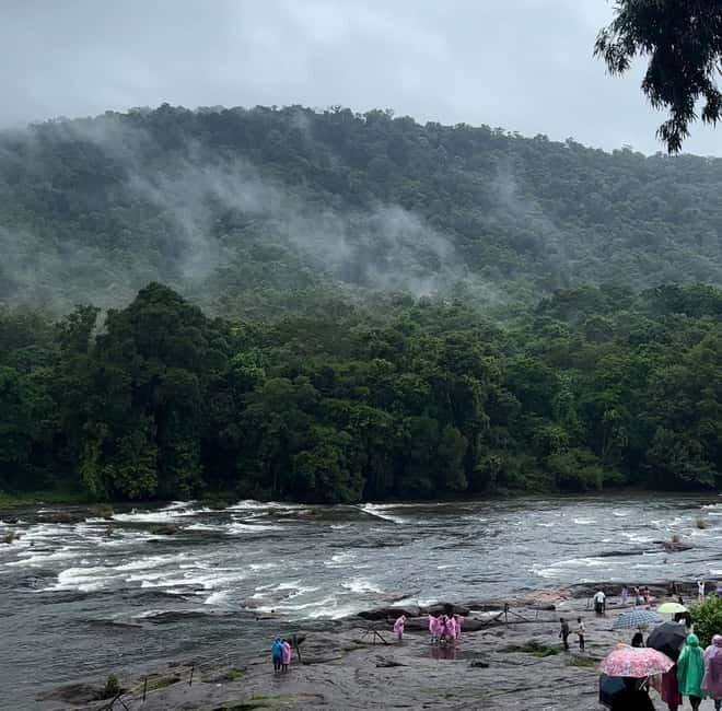 From Kochi: Athirappilly Waterfalls Day Trip with Transfers - Practical Details and Value