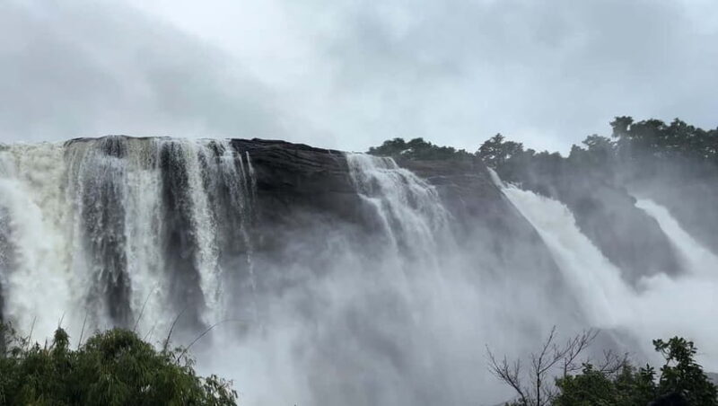 From Kochi: Athirappilly Waterfalls Day Trip with Transfers - Who Would Love This Tour?