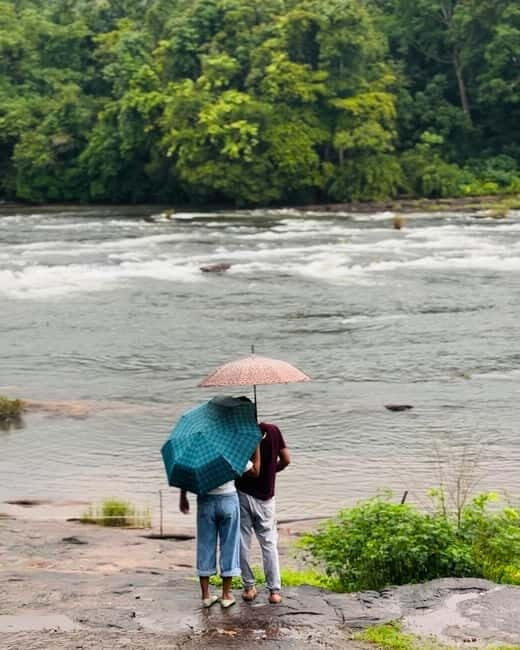 From Kochi: Athirappilly Waterfalls Day Trip with Transfers - What to Expect: A Deep Dive into the Experience