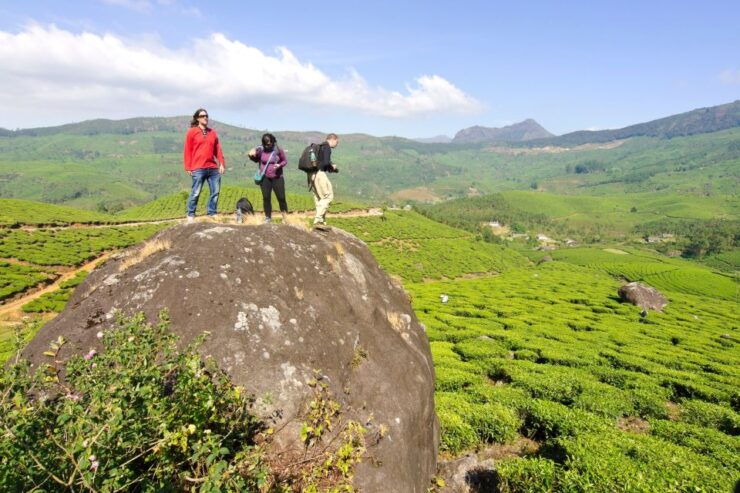 From Kochi: Munnar & Tea Museum Private Guided Tour - Tour Details and Logistics