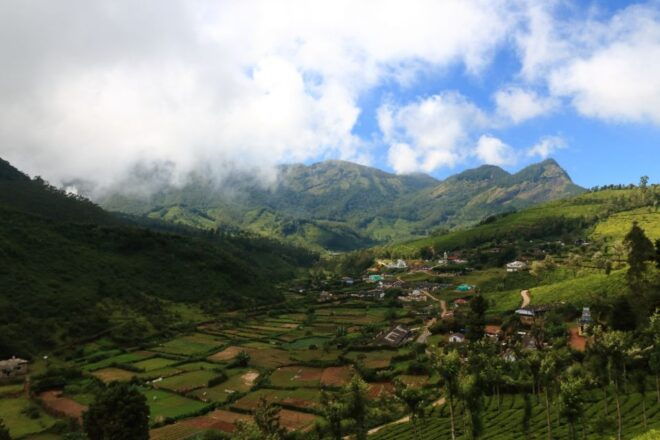 From Kochi: Munnar & Tea Museum Private Guided Tour - Tour Logistics and The Sum Up