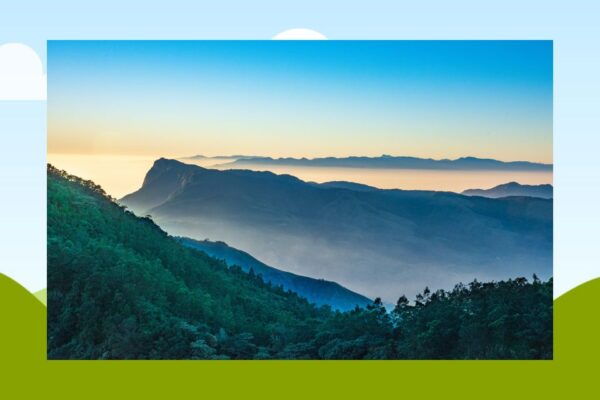 From Kochi: Munnar & Tea Museum Private Guided Tour - The Sum Up