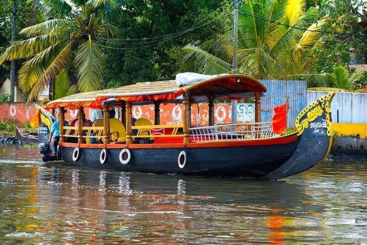 From Kochi Port: Backwater Canoe and Fort Kochi Tour - Good To Know