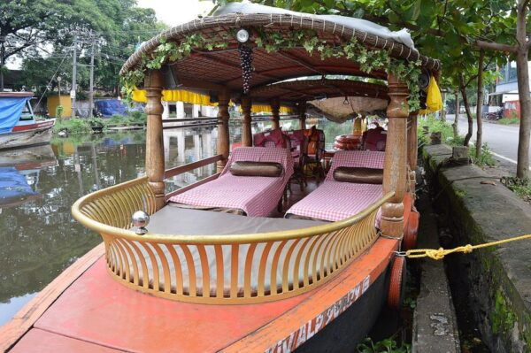 From Kochi Port: Backwater Canoe and Fort Kochi Tour - Important Information