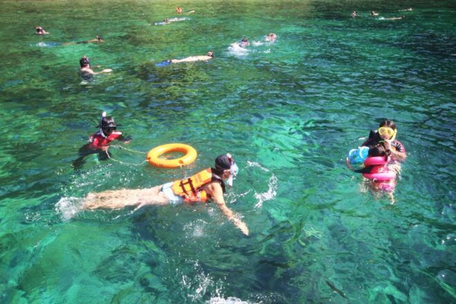 From Koh Lanta: Koh Ha and Koh Rok Day Tour - Experience Highlights