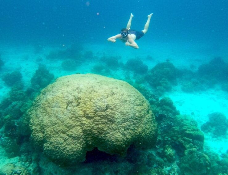 From Koh Pha Ngan: Day Tour Koh Tao & Nang Yuan With Lunch - Itinerary