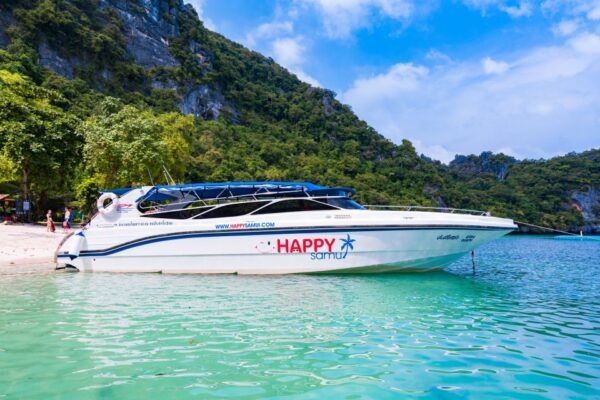 From Koh Samui: Ang Thong Islands Luxury Small-Group Tour - Meal Options and Snorkeling Sessions