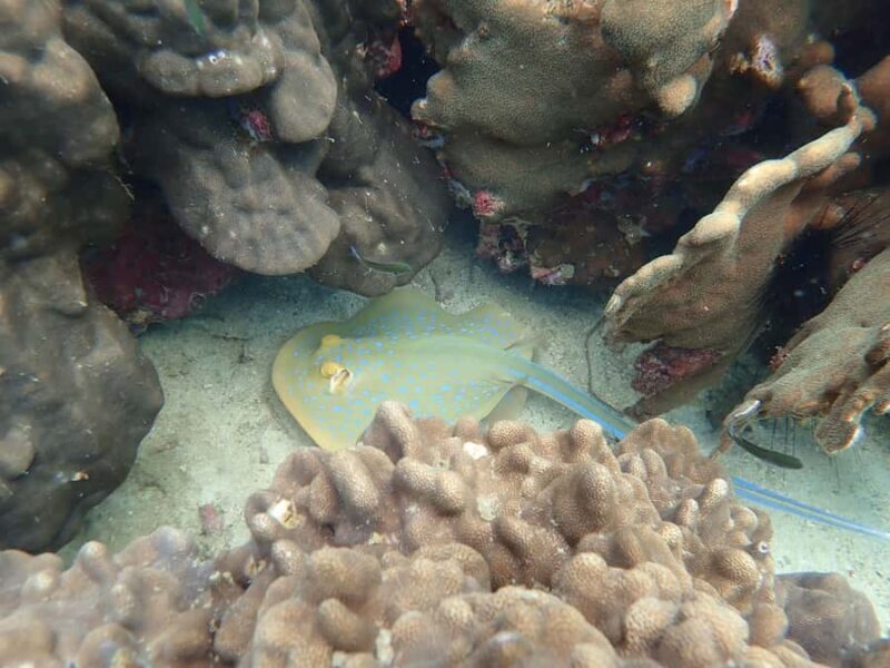 From Koh Samui: Half-Day Private Yacht Charter - Who Will Love This Tour?