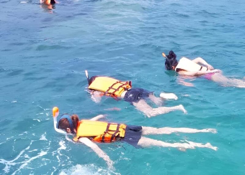 From Koh Samui: Pink Dolphin Boat Tour to Khanom with Lunch - What Reviewers Say